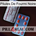 Black Ant Pills 36